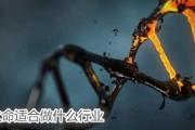 火命适合做什么行业