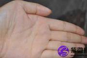 断掌手相的人会带来厄运还是好运