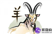 1991年出生是什么命