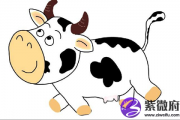1997年出生是什么命