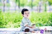 2019年是什么命