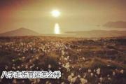八字走伤官运怎么样 - 伤官大运是什么意思