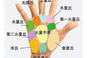 手相中各大星丘代表的意义 怎么看手相八大丘