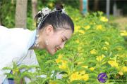 丙火命富贵条件