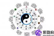 怎么看懂八字排盘有哪些必须知道的基础知识？
