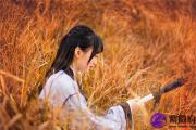 丁巳年五行属什么