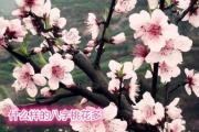 什么样的&*&*&桃花多