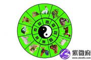 八字大运流年排盘看一个人的八字大运如何排