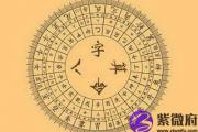 网四柱在线排盘算命免费