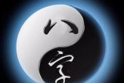 &*&*&有五个土的人怎么样 &*&*&土多如何化解