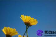 四柱八字中有沐浴分​别是什么意思？