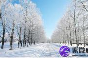 八字金命的人有什么特点 金命的人好不好？
