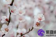 八字正财格的人性格喜忌及职业选择