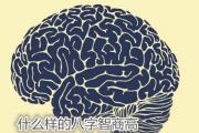 什么样的&*&*&智商高 - 聪慧的&*&*&
