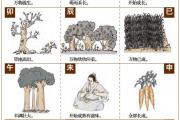 什么是十二地支，十二地支的含义是什么
