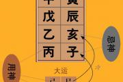 《渊海子平》论乙巳鼠贵格的取用与行用