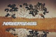 &*&*&地支藏干是什么意思 - 解析&*&*&地支藏干
