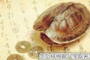 怎么样根据&*&*&取名字