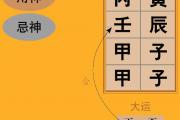 《渊海子平》论子遥巳格的取用与行运