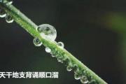 天干地支背诵顺口溜