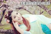 夫妻宫空宫是什么意思