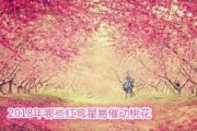 2018年哪些红鸾星易催动桃花