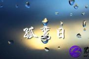 八字孤鸾煞是什么意思