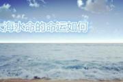 大海水命的命运如何