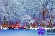 白蜡金命的人2019年脱单有希望吗？