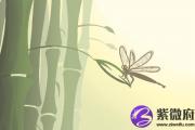 大林木几月出生最好 大林木解析