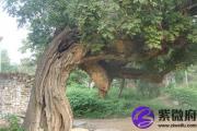 五行缺土的人如何才能发财