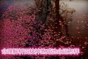 命理解析四柱神煞咸池命运怎样
