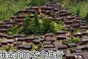 饿金命的衣食住行