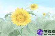 丙寅日柱看配偶 丙寅日柱婚姻怎样
