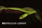 属蛇卯时出生的人运势如何