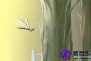 屋上土命的人适不适合当官