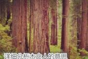 详细分析木命人的意思
