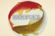 阴阳哲学与生活