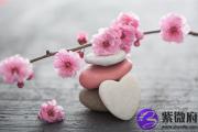 八字测己亥年的桃花运