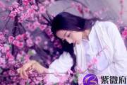 2019年桃花最旺的八字是哪些 2019走桃花运