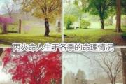 丙火命人生于各季的命理情况