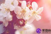 中年走桃花运八字会有什么样的特征