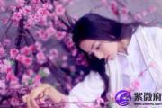 八字算命免费算有没有桃花运