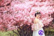 面相里桃花运差的表现是什么