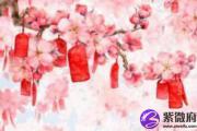 八字中女人桃花运旺的标志有哪些