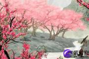家里有啥犯桃花运千万要小心