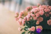 斩断女人的桃花运的窍门是什么
