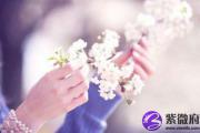 算命你的八字桃花运秘诀是什么