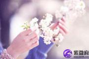 那个地方可以求桃花运过年一定要去