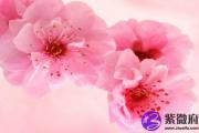 有太多烂桃花运破解方法是什么